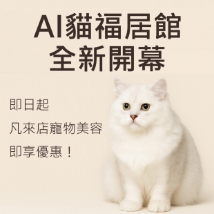 cat.jpg cat.jpg