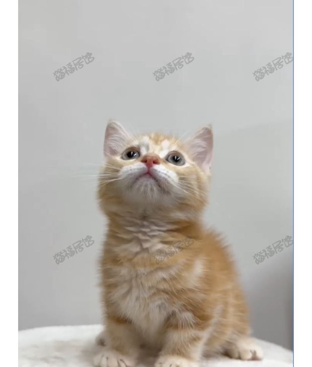 Screen Shot 2025-06-07 at 05.48.15.620 PM.png