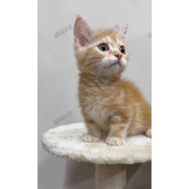 Screen Shot 2025-06-07 at 05.48.20.968 PM.png