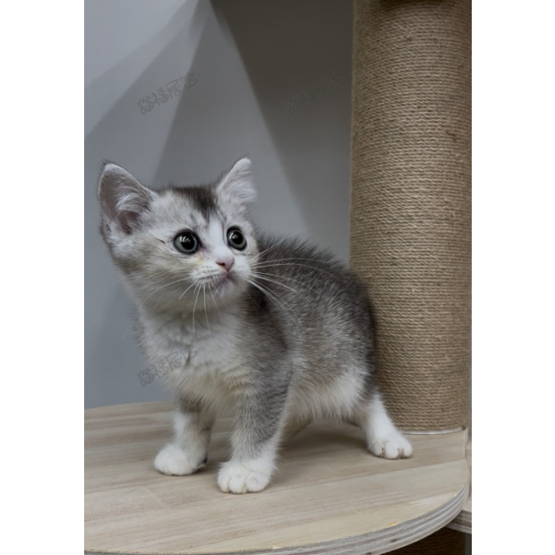 900073000907253 _3_.png