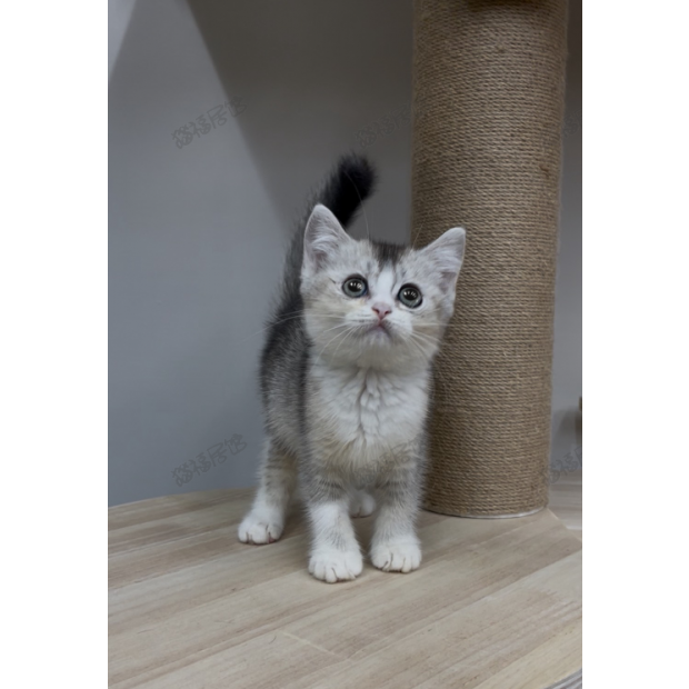 900073000907253 _4_.png