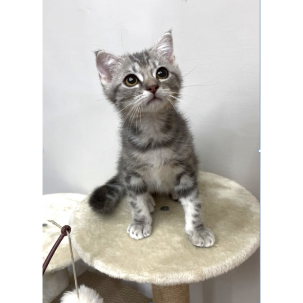 900073000907206 _5_.png