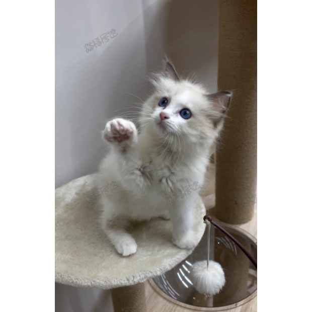 900073000907287 _3_.png