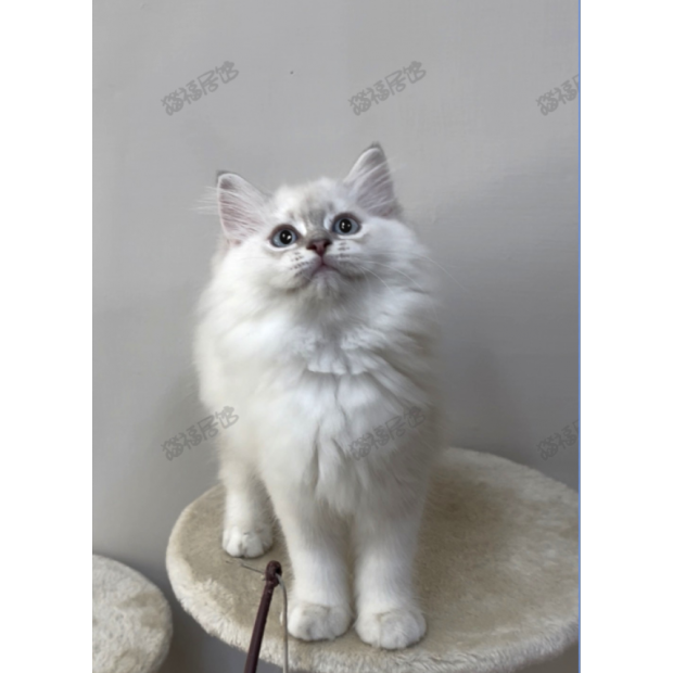 900073000907255 _3_.png