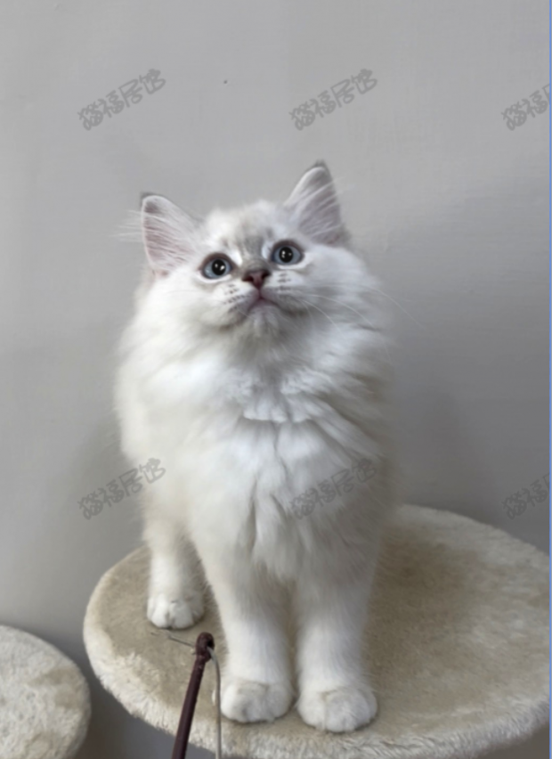 900073000907255 _3_.png