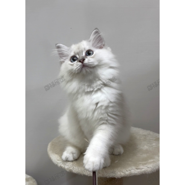 900073000907255 _4_.png