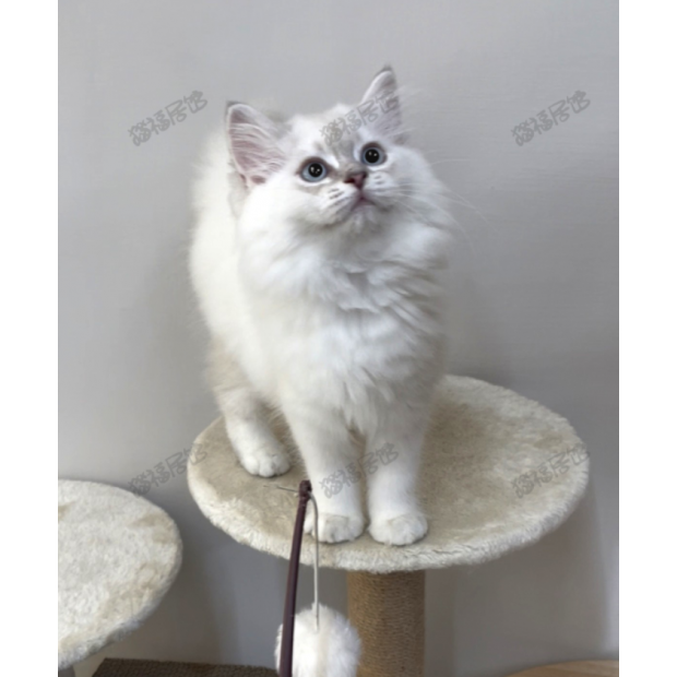 900073000907255 _5_.png