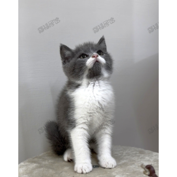 900073000907272 _3_.png