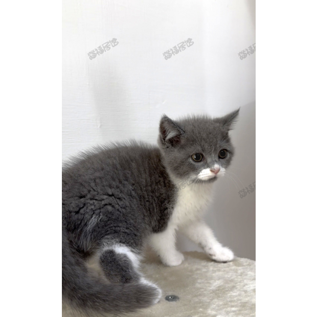 900073000907272 _5_.png