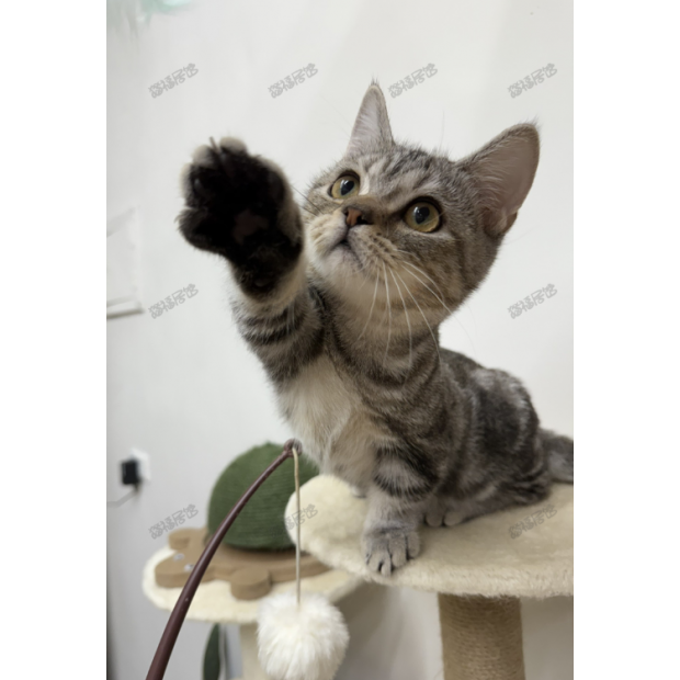 900073000907218 _3_.png