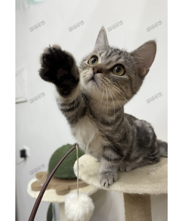 900073000907218 _3_.png