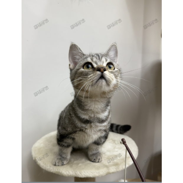 900073000907218 _4_.png