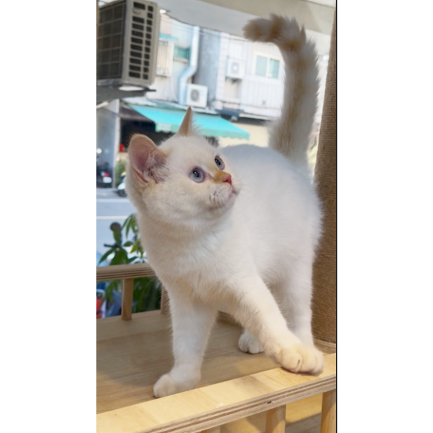 Screen Shot 2026-01-13 at 02.58.04.437 PM.png