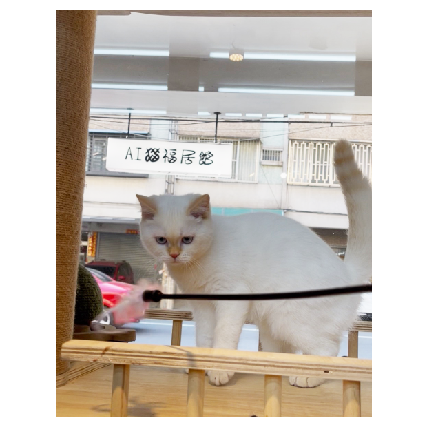 Screen Shot 2026-01-13 at 02.57.32.419 PM.png