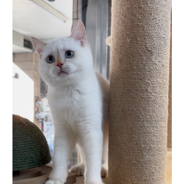 Screen Shot 2026-01-13 at 02.58.29.93 PM.png