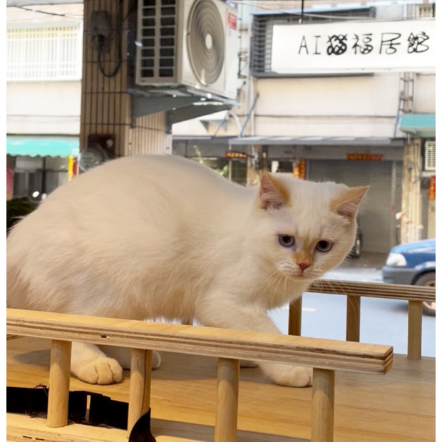 Screen Shot 2026-01-13 at 02.56.07.157 PM.png