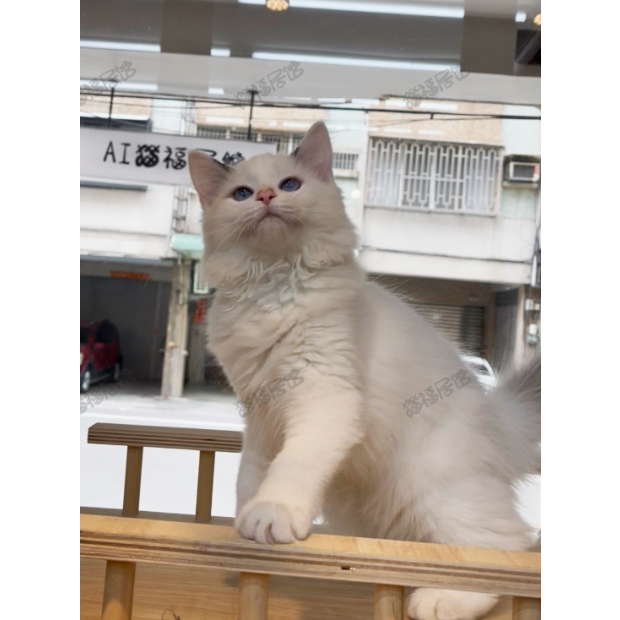 Screen Shot 2026-01-15 at 03.51.14.512 PM.png