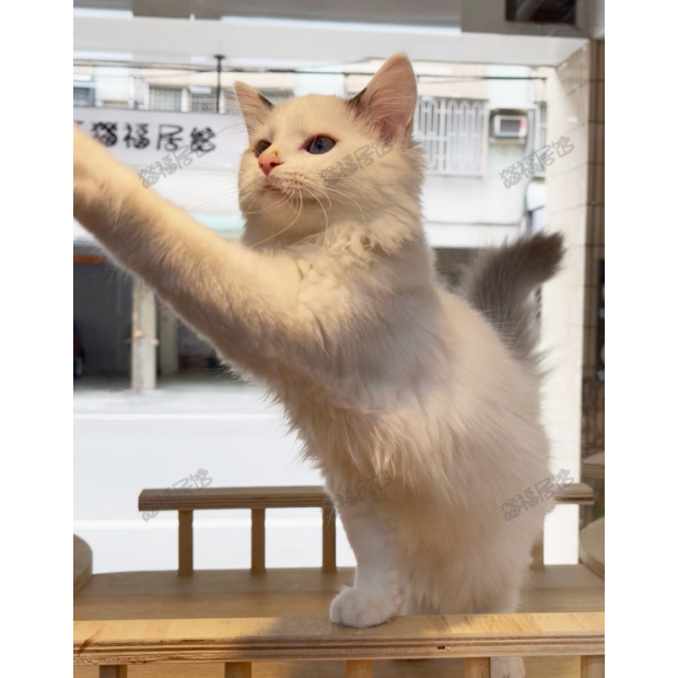 Screen Shot 2026-01-15 at 03.51.06.427 PM.png