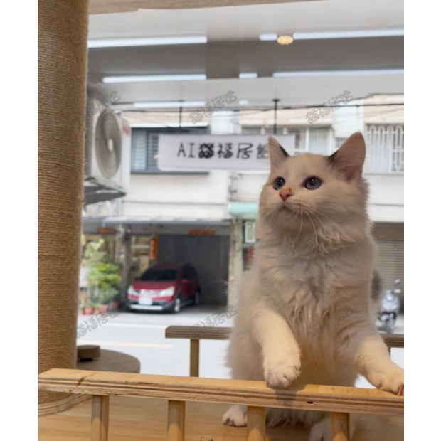 Screen Shot 2026-01-15 at 03.50.49.219 PM.png