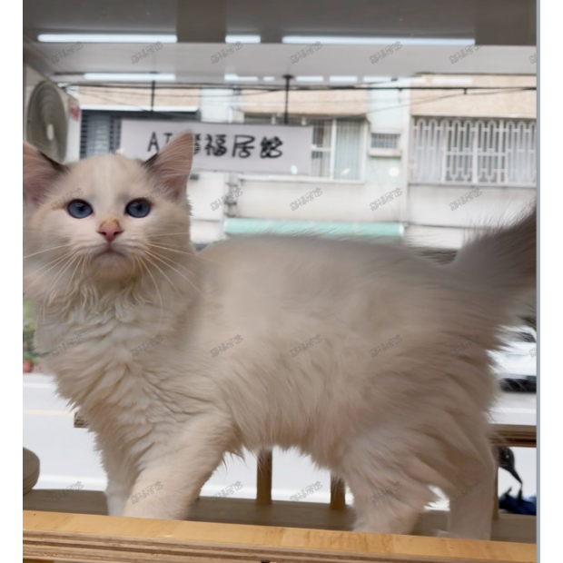 Screen Shot 2026-01-15 at 03.50.37.995 PM.png