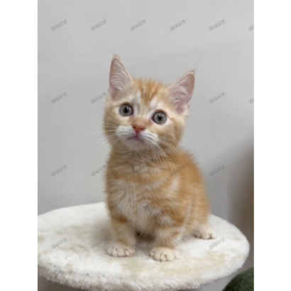 Screen Shot 2025-06-07 at 05.48.02.551 PM.png