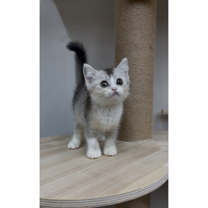 900073000907253 _2_.png