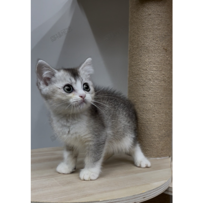 900073000907253 _3_.png