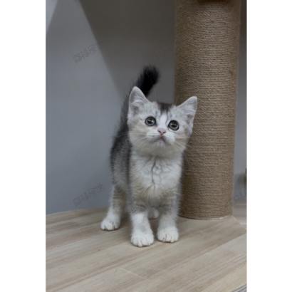 900073000907253 _4_.png