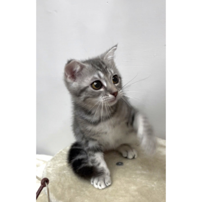 900073000907206 _4_.png