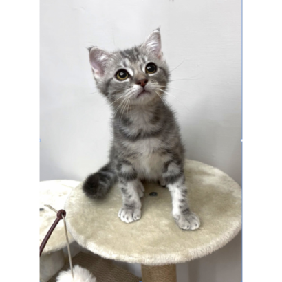 900073000907206 _5_.png