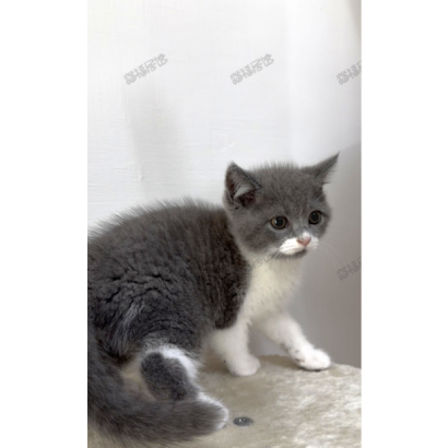 900073000907272 _5_.png