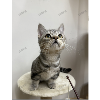 900073000907218 _4_.png