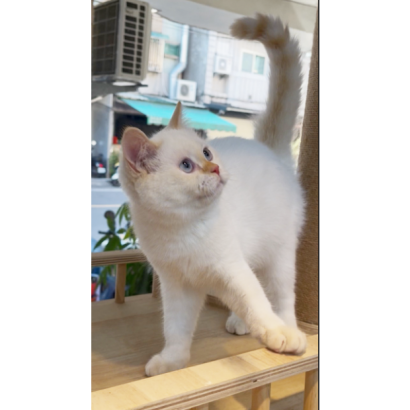 Screen Shot 2026-01-13 at 02.58.04.437 PM.png