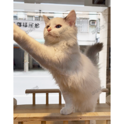 Screen Shot 2026-01-15 at 03.51.06.427 PM.png