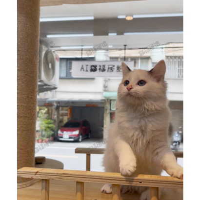 Screen Shot 2026-01-15 at 03.50.49.219 PM.png