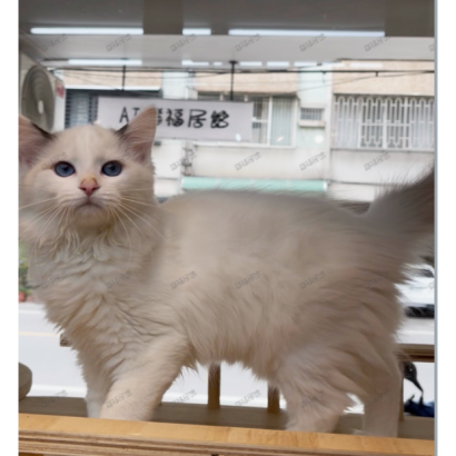 Screen Shot 2026-01-15 at 03.50.37.995 PM.png